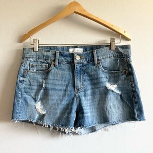 Loft Distressed Cutoff Jean Shorts